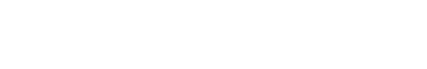 Aerofly FS 4